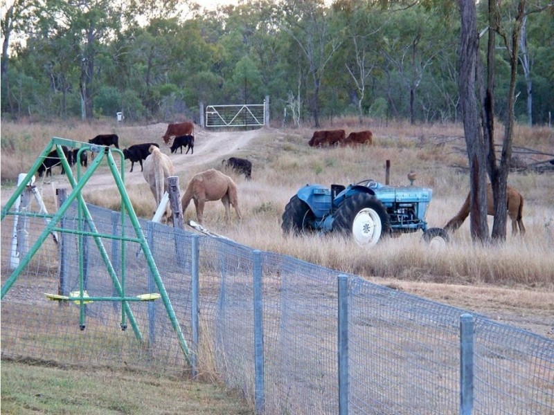128 Dendle Road, Milman QLD 4702