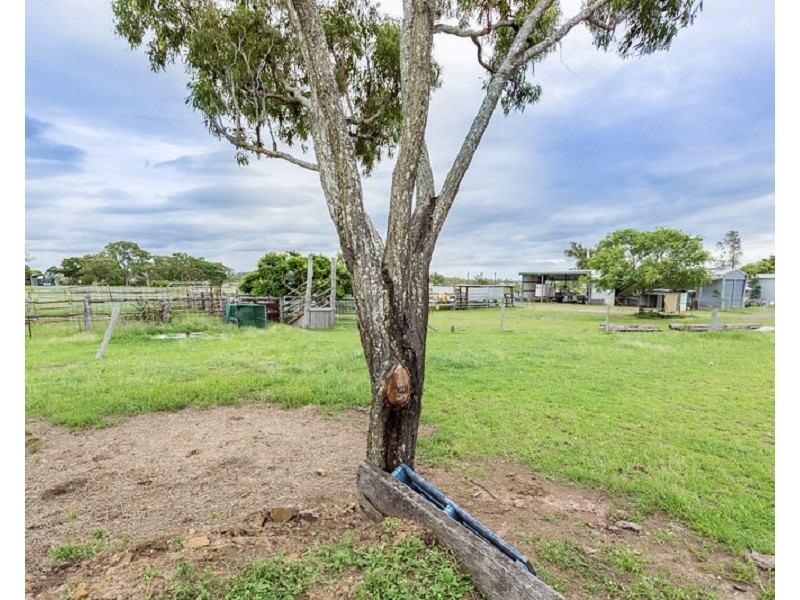 441 Laurel Bank Road, Alton Downs QLD 4702