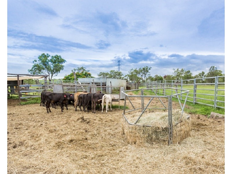 441 Laurel Bank Road, Alton Downs QLD 4702