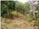 Barlows Hill QLD 4703