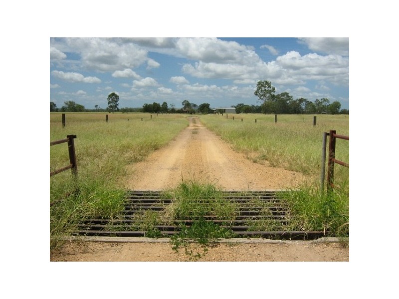1728 Yaamba Road, Alton Downs QLD 4702