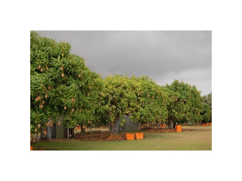 Kabra QLD 4702