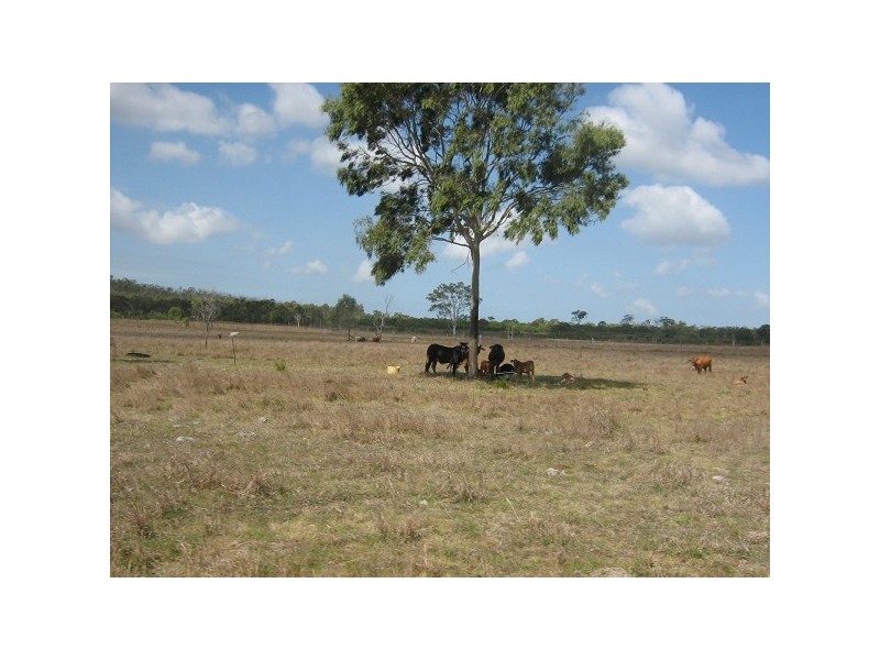1077 Old Byfield Road, Yeppoon QLD 4703