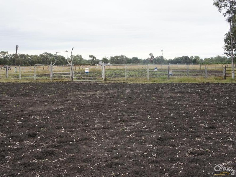 222 Del Rosa Road, Alton Downs QLD 4702