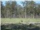 Beeron QLD 4626