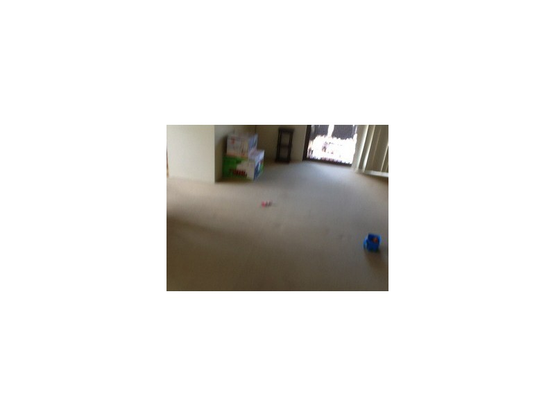 1/19  Eliza Street, Clayfield QLD 4011