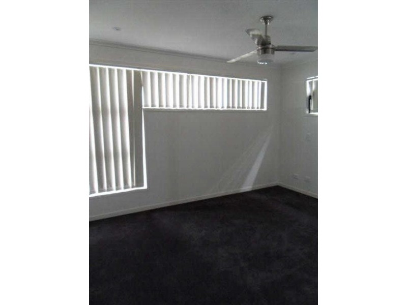 3/24  Windsor Street, Hamilton QLD 4007