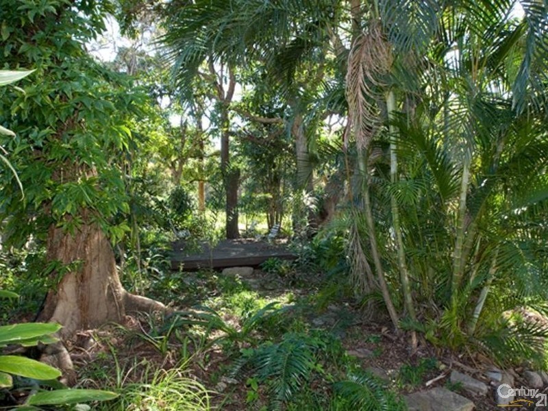 10 Dawson Street, Wooloowin QLD 4030