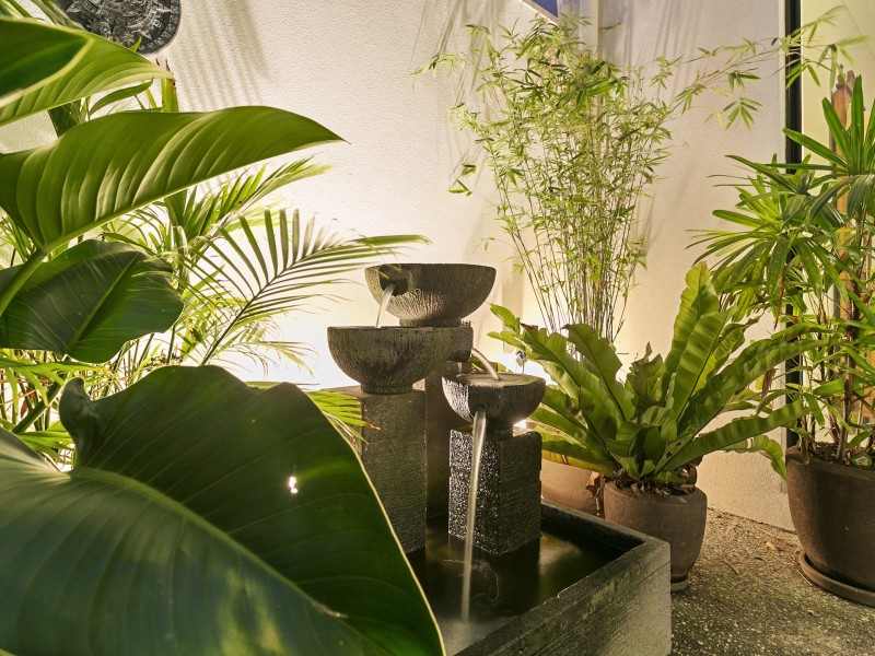 8 Bunya Grove, Peregian Springs QLD 4573