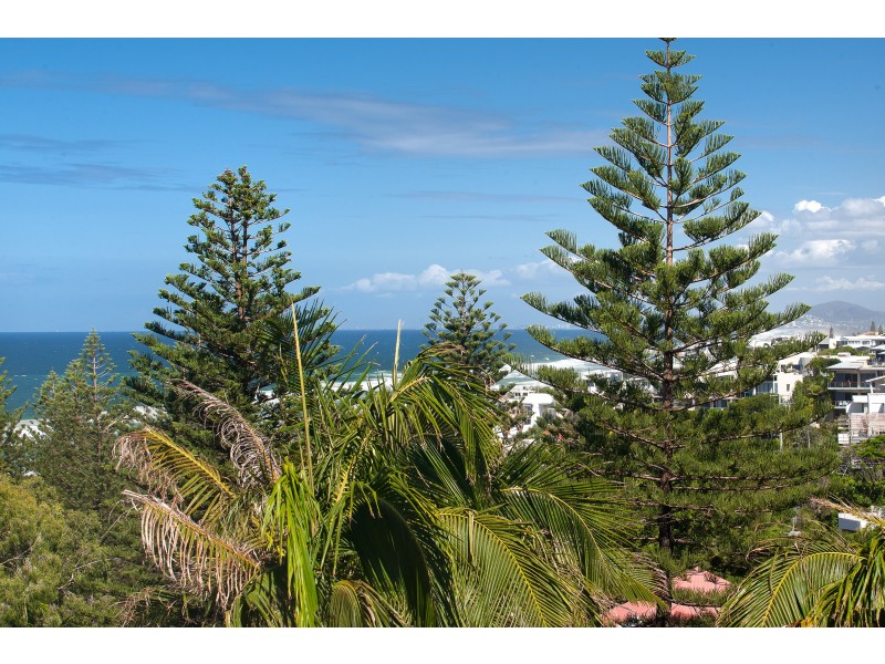 5/16 Bryan Street, Sunshine Beach QLD 4567