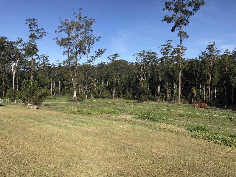 130  Paskins Road, Palmwoods QLD 4555