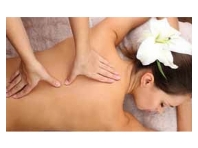 The Oasis, Springs Crescent, Noosa Heads QLD 4567