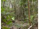 195 Sunrise Road, Eumundi QLD 4562