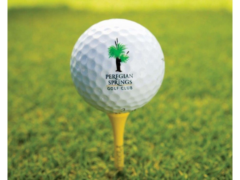 6 Lakeside Drive, Peregian Springs QLD 4573