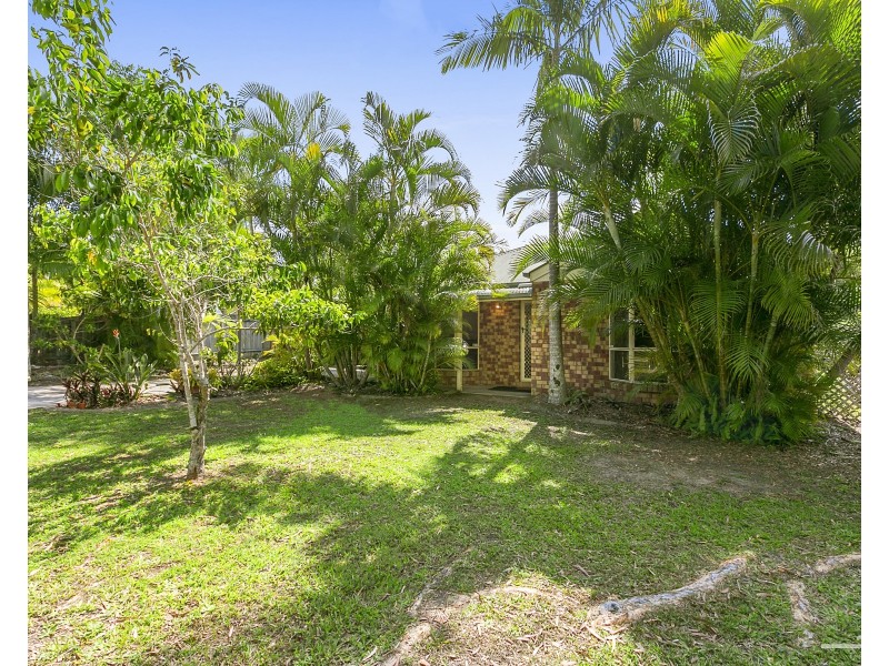3 Sassafras Court, Tewantin QLD 4565