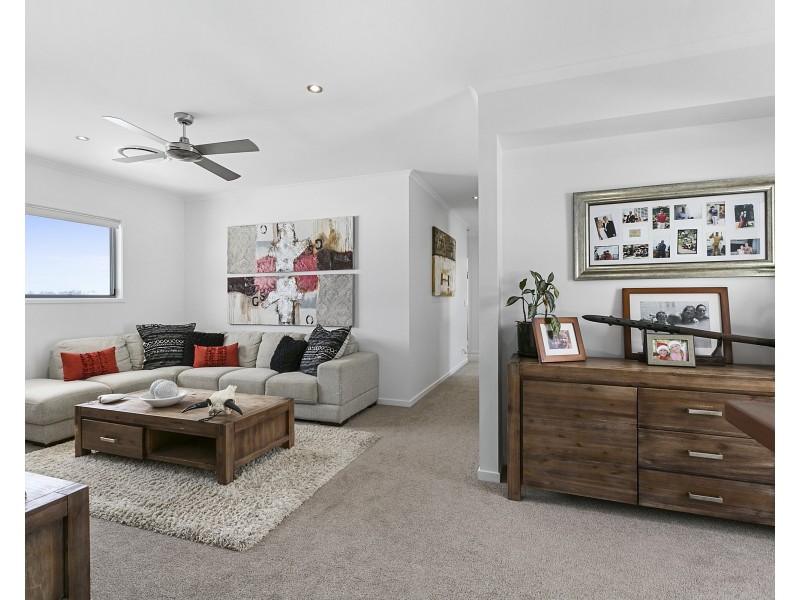 15 Goldfinch Close, Peregian Springs QLD 4573