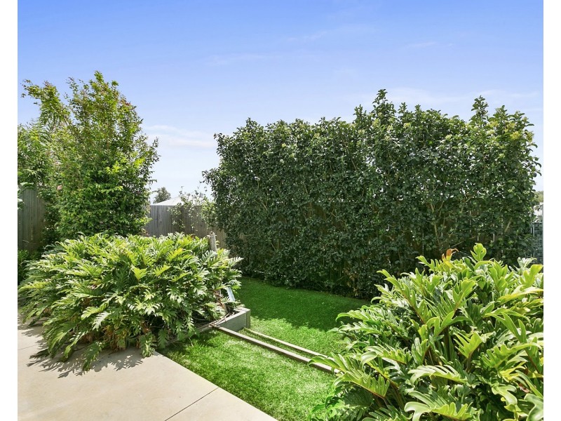 15 Goldfinch Close, Peregian Springs QLD 4573