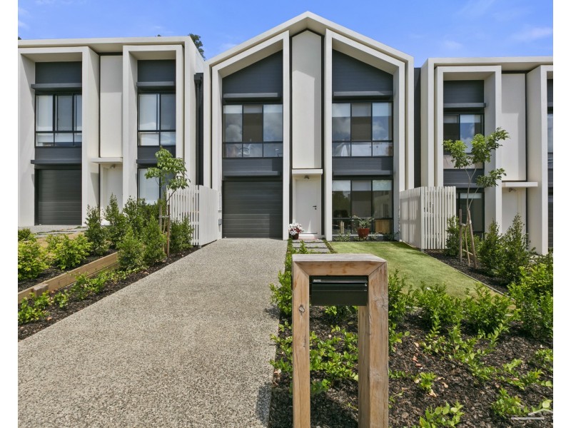 69  Pavilion Drive, Peregian Springs QLD 4573