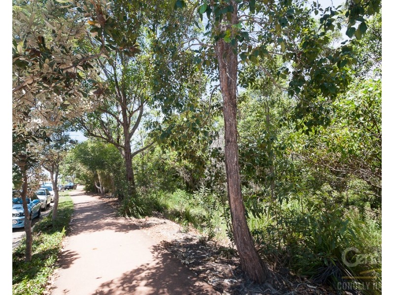 17 North Ridge Avenue, Peregian Springs QLD 4573