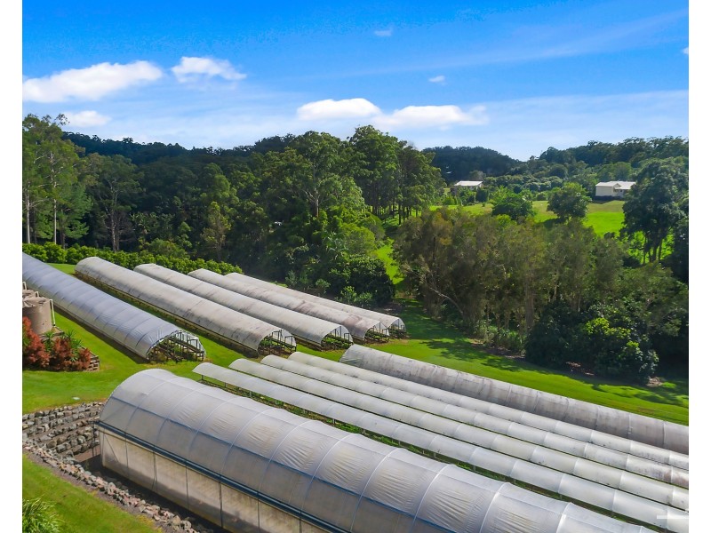 1114 Eumundi Noosa Road, Doonan QLD 4562