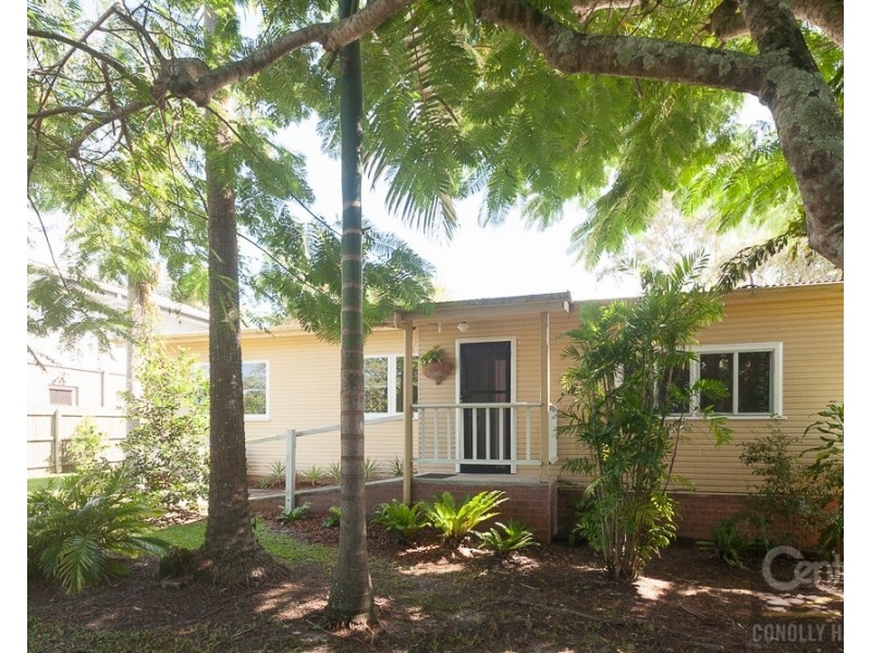 114 Moorindil Street, Tewantin QLD 4565