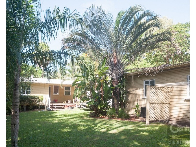 114 Moorindil Street, Tewantin QLD 4565