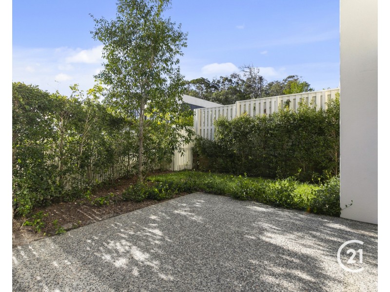26 Curlew Way, Peregian Springs QLD 4573