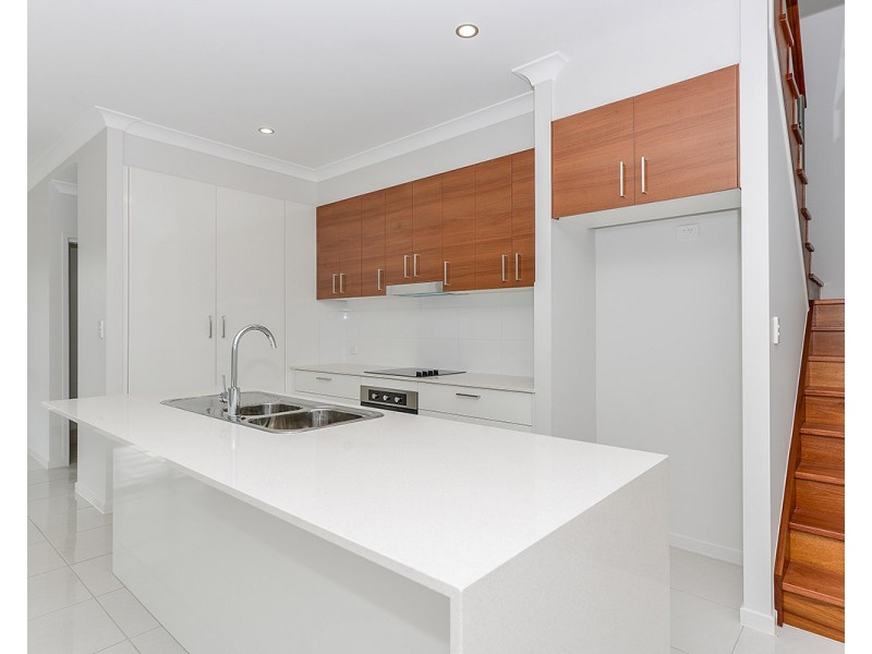 7 Pepperberry Circuit, Peregian Springs QLD 4573