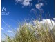 Peregian Beach QLD 4573