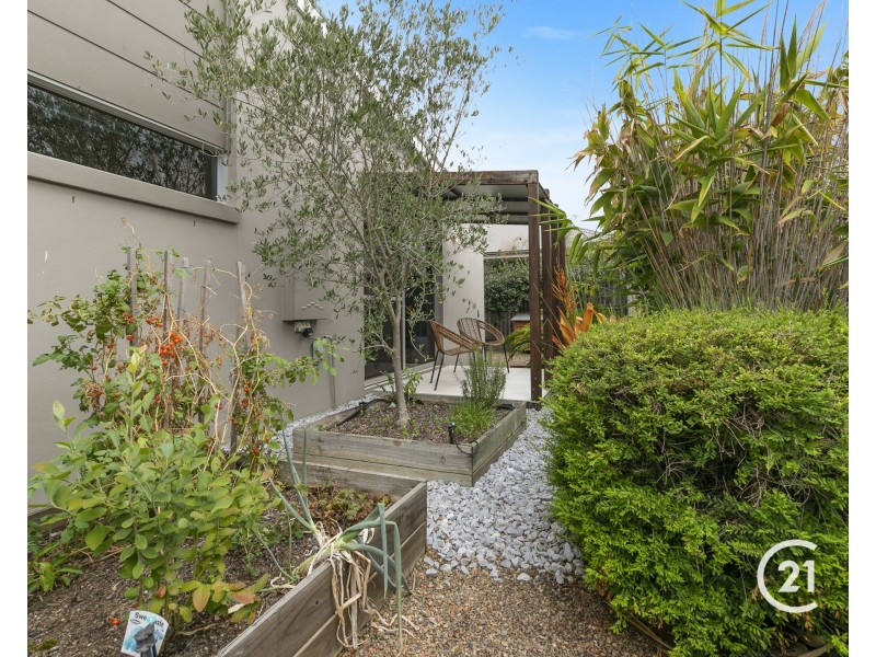 2 Beachwood Place, Peregian Springs QLD 4573