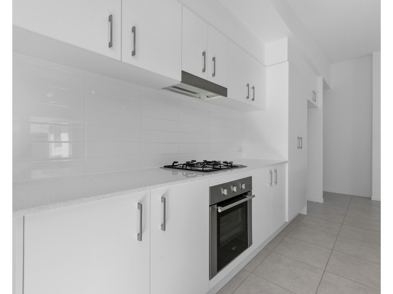 16 Long Board Street, Peregian Beach QLD 4573