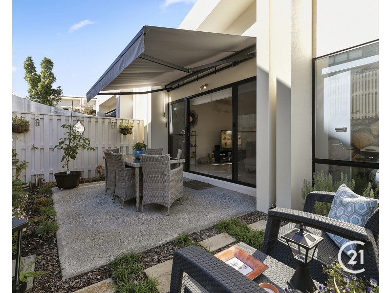 55 North Ridge Avenue, Peregian Springs QLD 4573