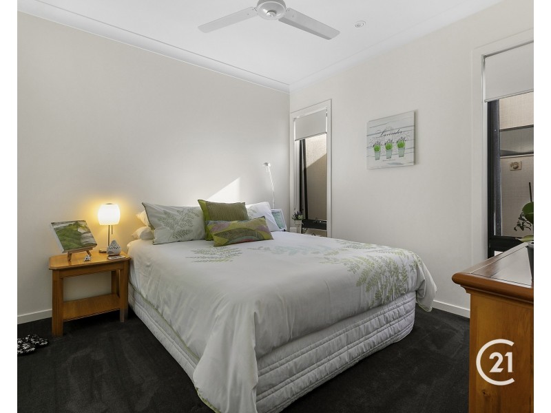 55 North Ridge Avenue, Peregian Springs QLD 4573