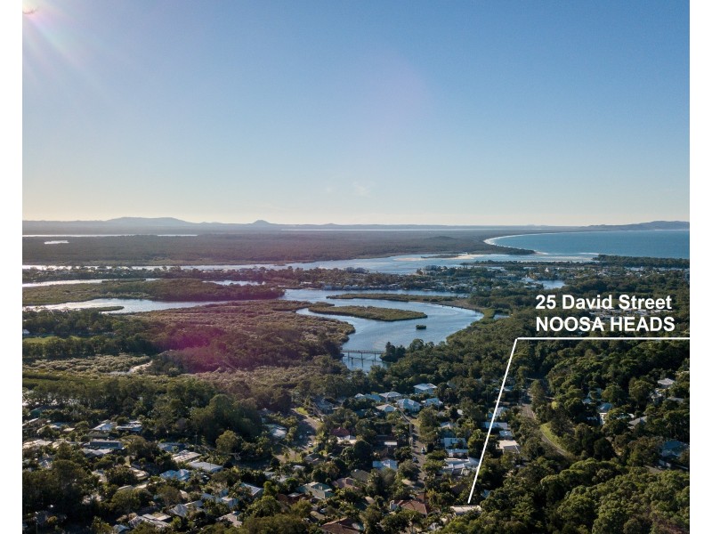 25 David Street, Noosa Heads QLD 4567