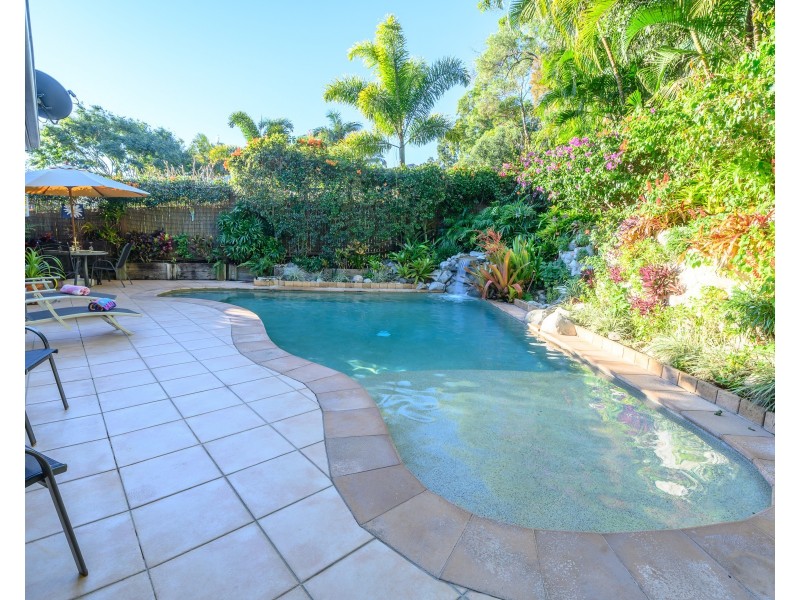 25 David Street, Noosa Heads QLD 4567