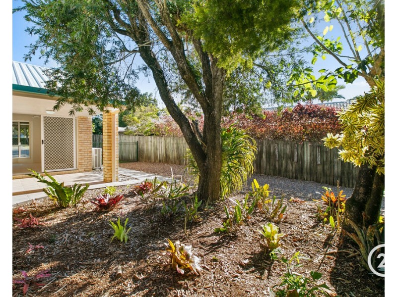 135 Goodchap Street, Noosaville QLD 4566