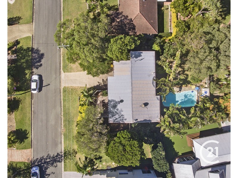 11 Toulambi Street, Noosa Heads QLD 4567