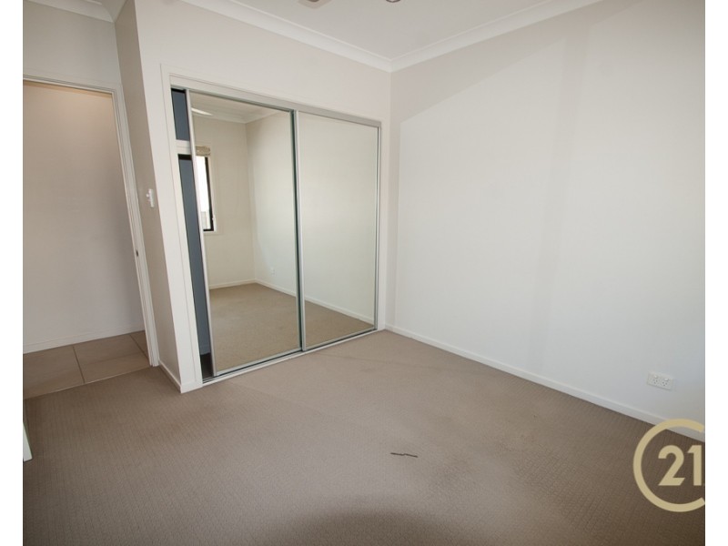 8 Mornington Crescent, Peregian Springs QLD 4573