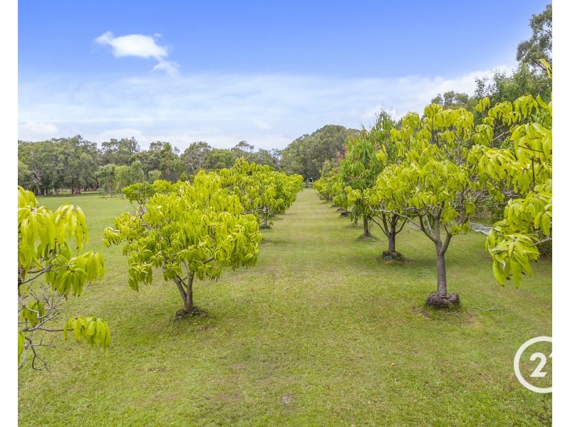 17a Yatama Place, Cooroibah QLD 4565