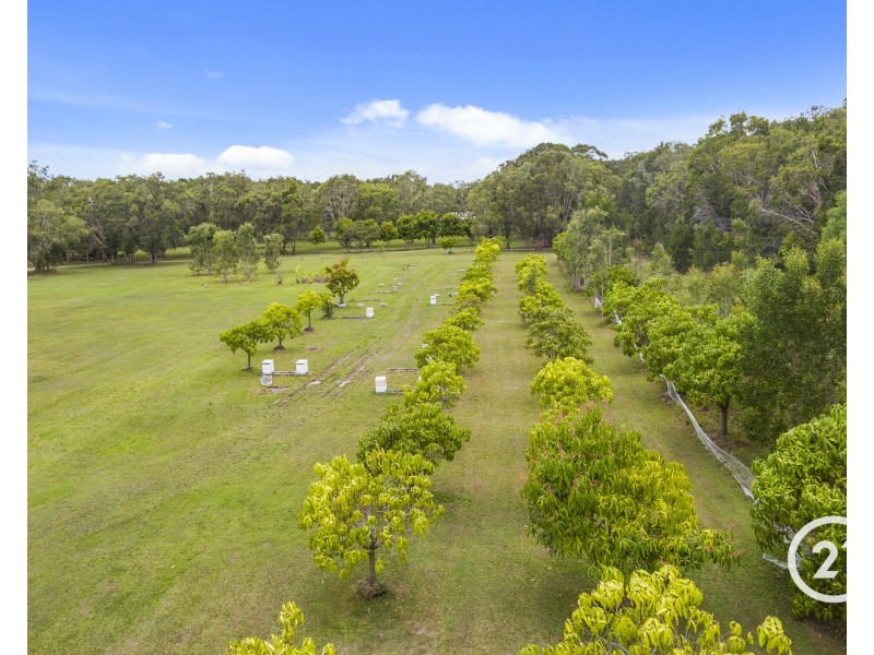 17a Yatama Place, Cooroibah QLD 4565