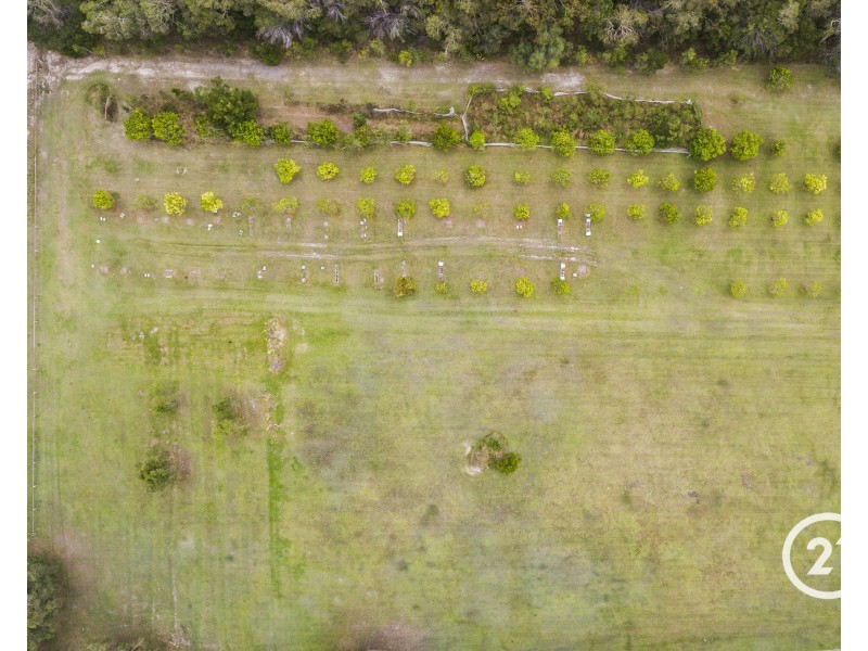 17a Yatama Place, Cooroibah QLD 4565