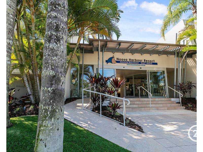 29/6 Quamby Place, Noosa Heads QLD 4567