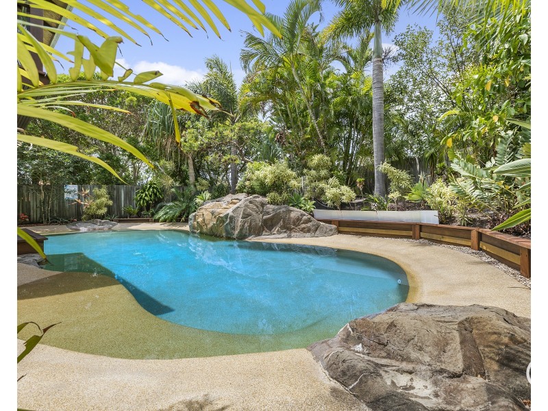 7 Lancewood Avenue, Peregian Beach QLD 4573