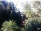 36 Belmore Terrace, Sunshine Beach QLD 4567