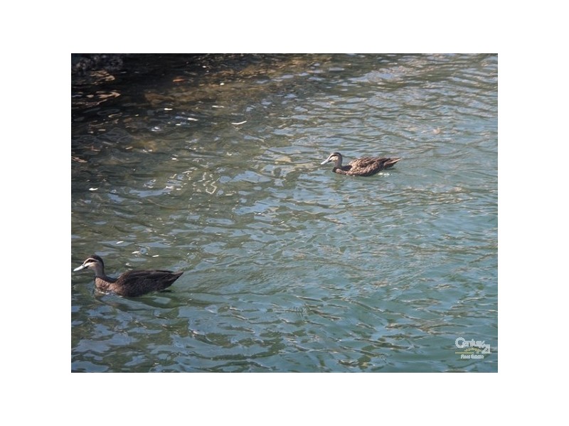 106, 12 Hastings Street, Noosa Heads QLD 4567