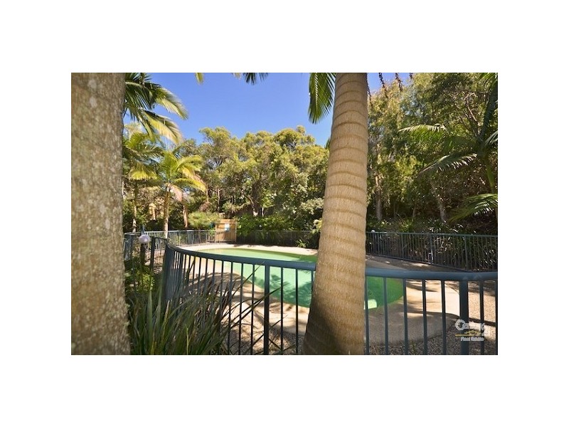 8/21 Henderson, Sunshine Beach QLD 4567