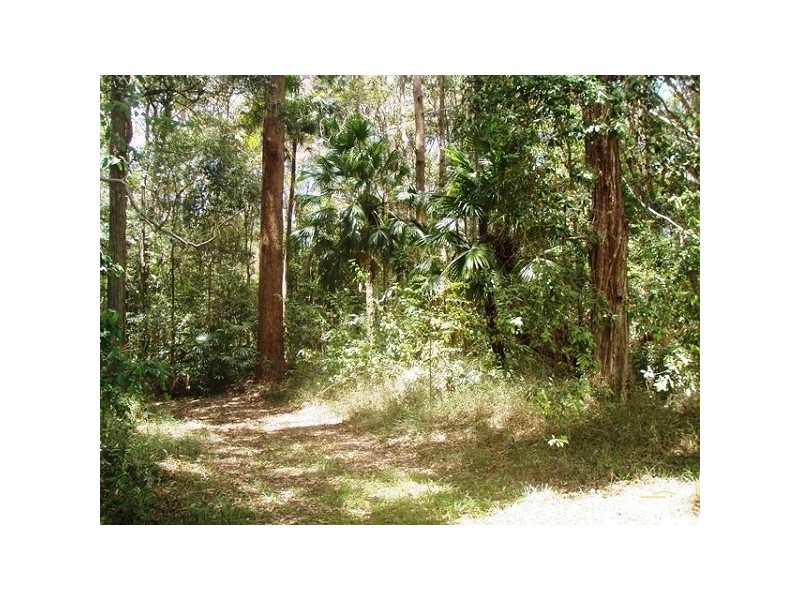 39 Tinbeerwah Road, Tinbeerwah QLD 4563