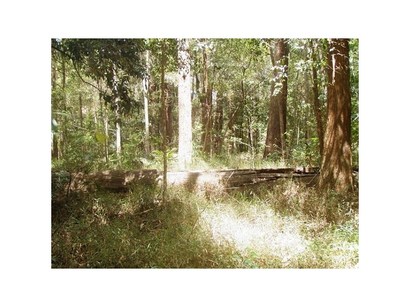 39 Tinbeerwah Road, Tinbeerwah QLD 4563