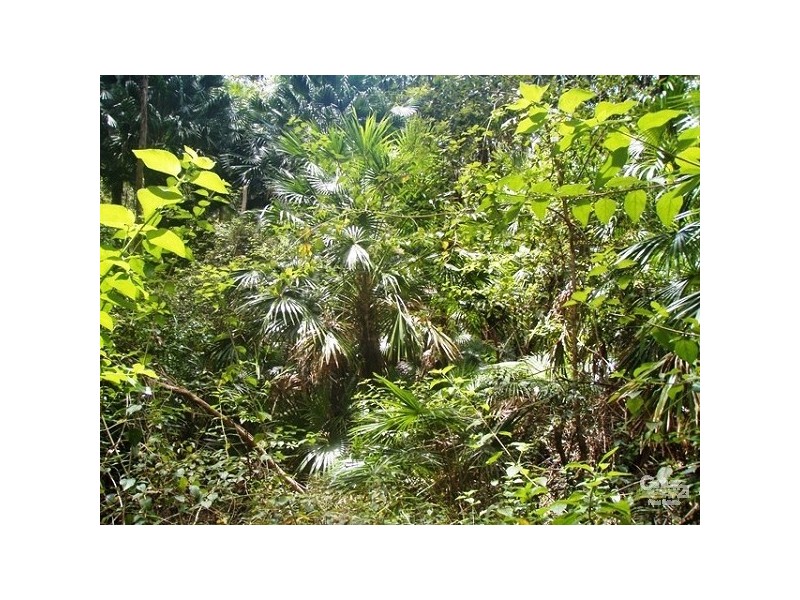 39 Tinbeerwah Road, Tinbeerwah QLD 4563