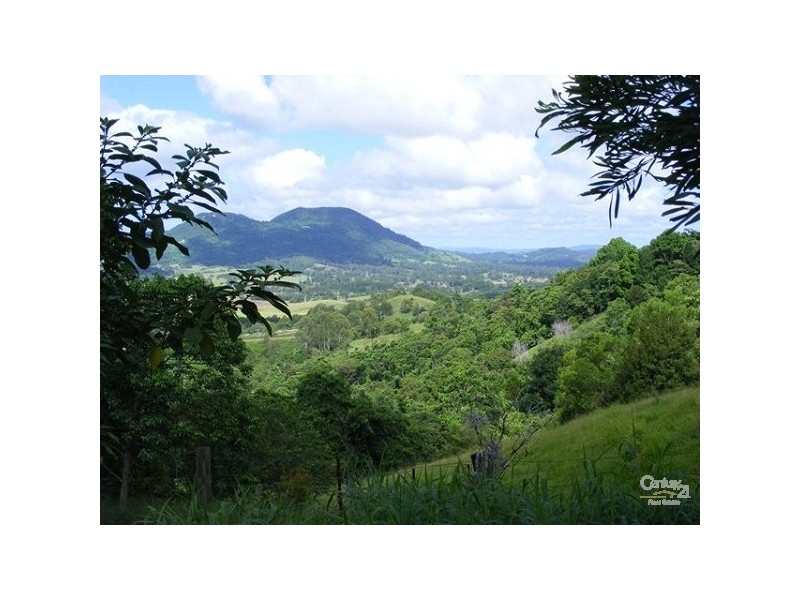 85 Grasstree Road, Eumundi QLD 4562